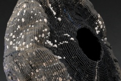 BlackCosmos_tilted_CaFE_Detail_3000px