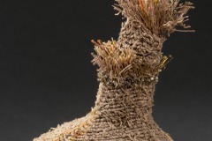 Gourd-detail