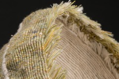 fern-close-up